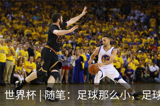 世界杯 | 随笔：足球那么小，足球这么大