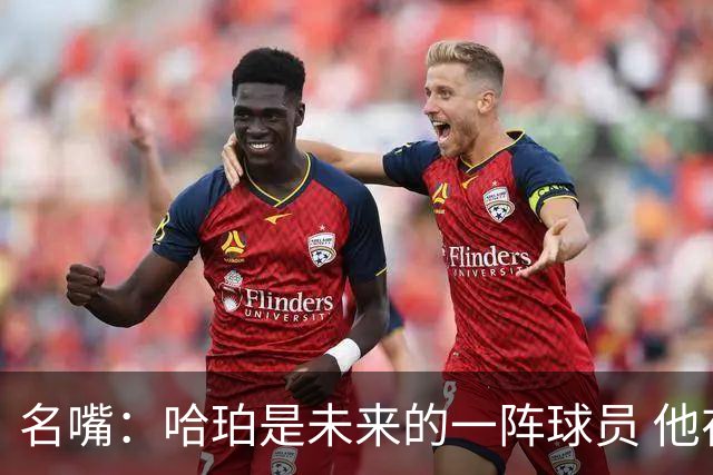 名嘴：哈珀是未来的一阵球员 他在总决赛的高压下依然游刃有余