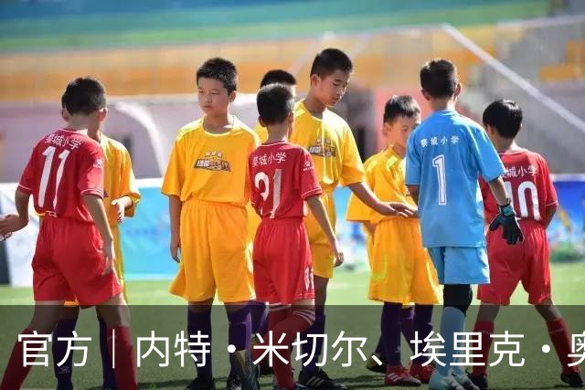 官方｜内特·米切尔、埃里克·奥尔森、徐冀恒告别广州龙狮