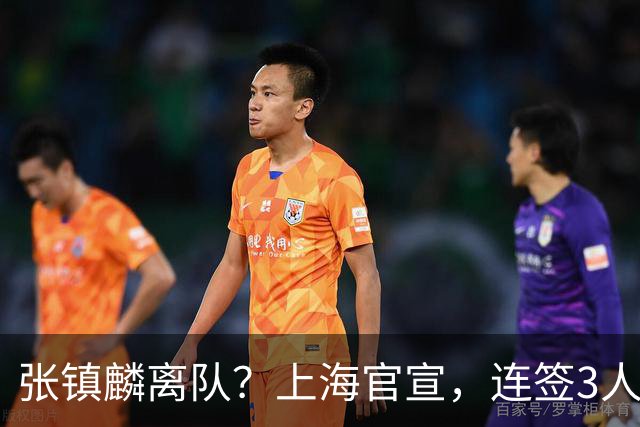 张镇麟离队？上海官宣，连签3人，1顶薪合同+1个C类+1个B类